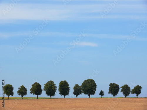 Sommerlandschaft im Weserbergland