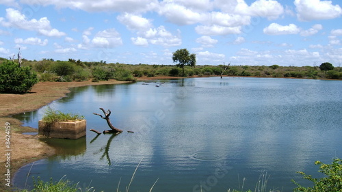 Etosha, Namibie, lac