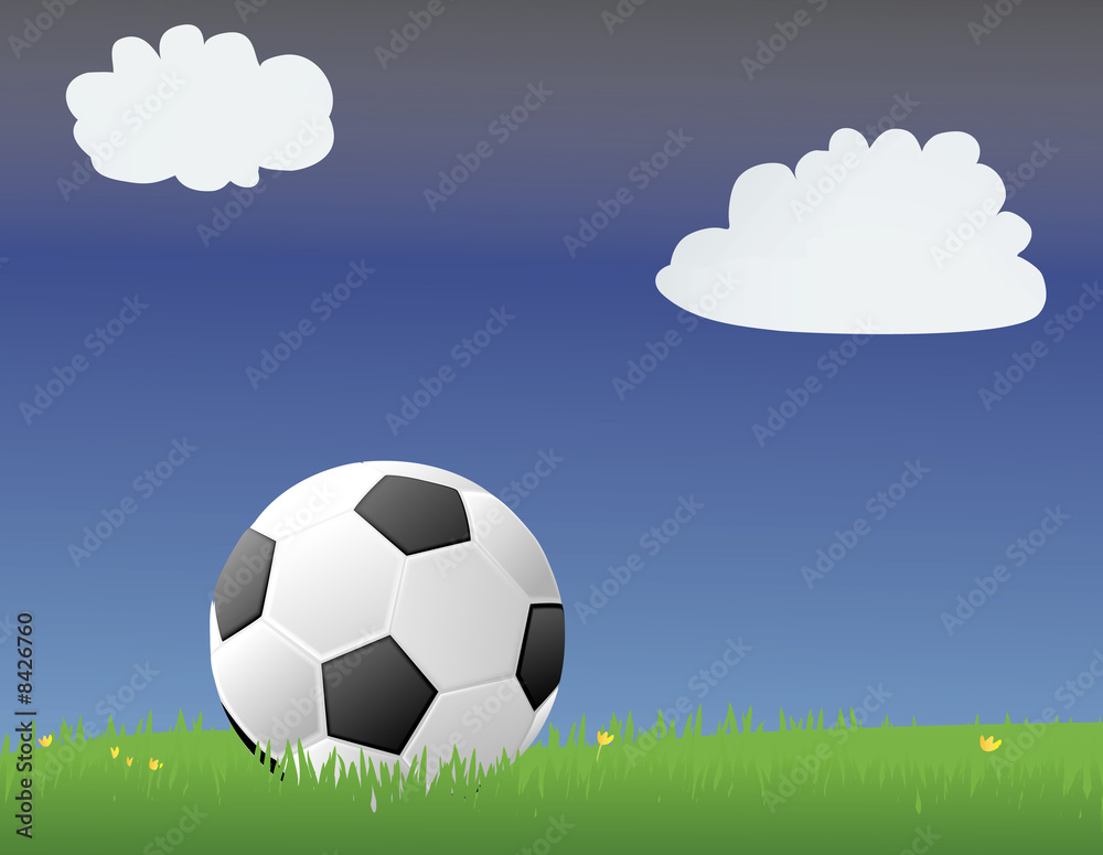 Obraz premium Soccer/Football