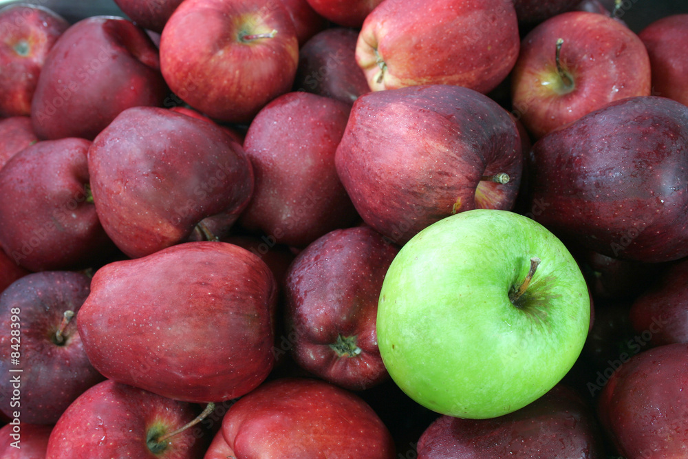 Green apples against red apple Green apples against red apple