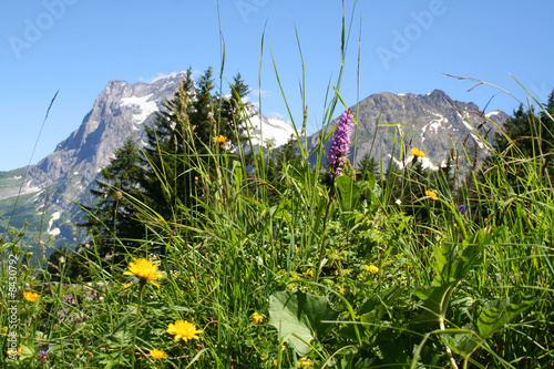 Schweiz