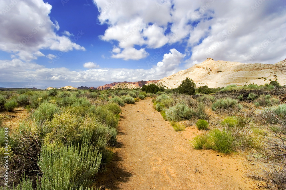 Path to the Redrock Mountains in Snow Canyon - Utah Path to the Redrock Mountains in Snow Canyon - Utah
