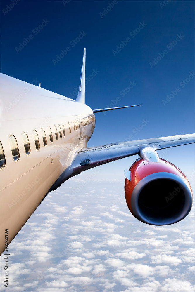 Fototapeta premium Airplane in Flight