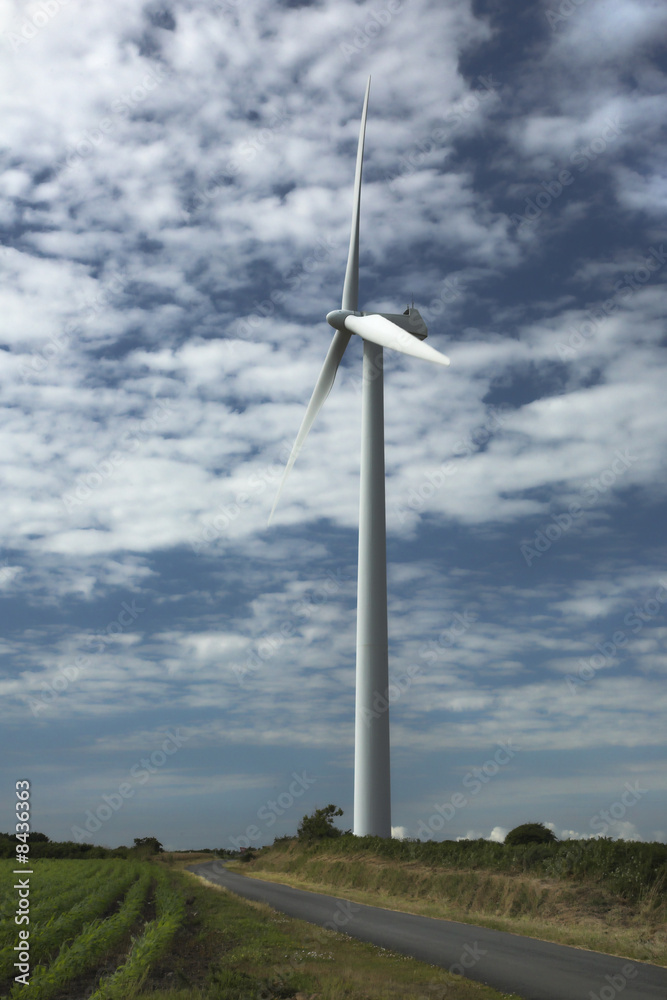 Eolienne le long d'une route