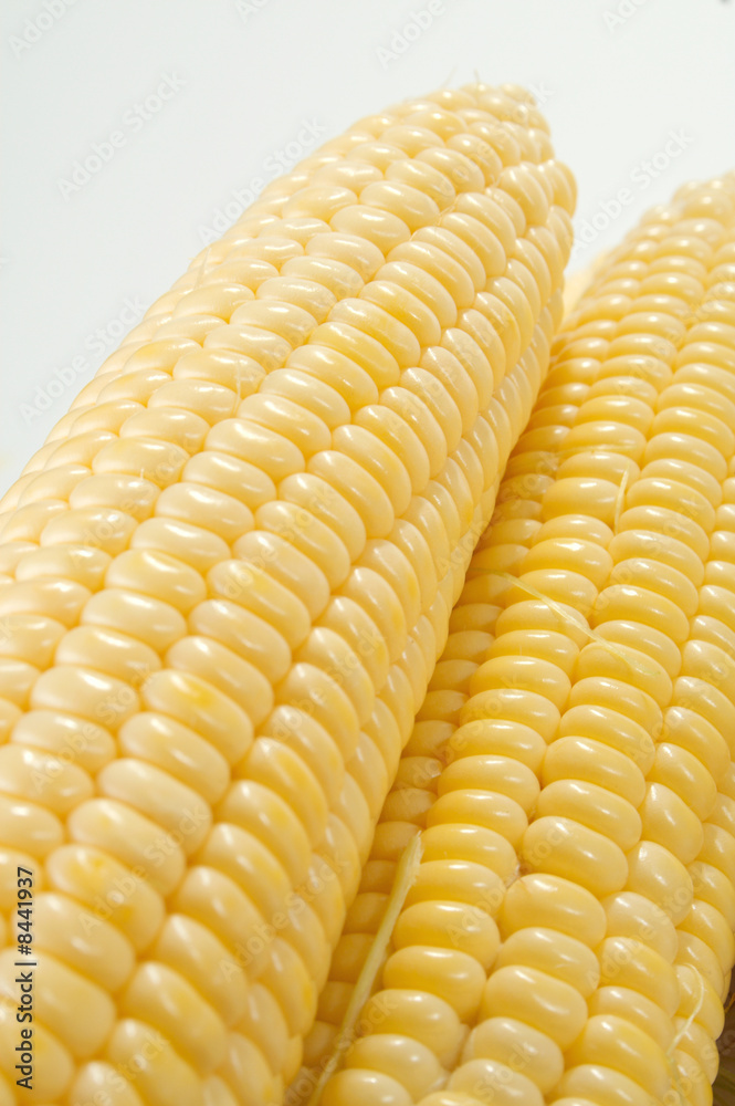 corn corn