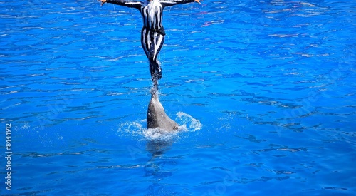 artiste porté par un dauphin