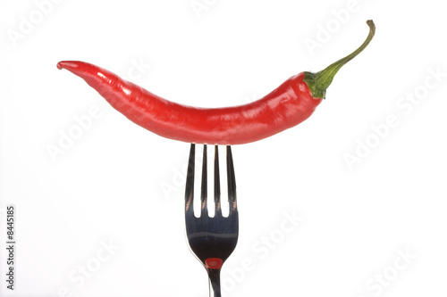 single red hot chili pepper on a fork © Bernd Jürgens