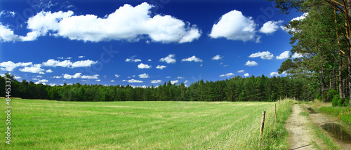 panoramic view on grass field, forest and a path photo