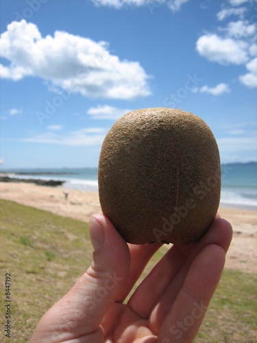 Kiwi Fruit ~ New Zealand