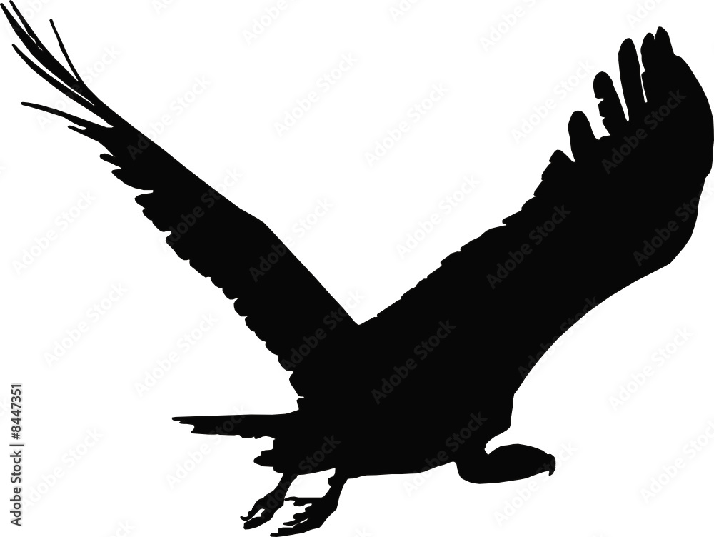 Fototapeta premium Vulture Vector