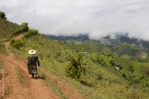 sur les chemins