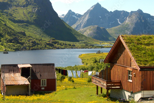Lofoten's Farm
