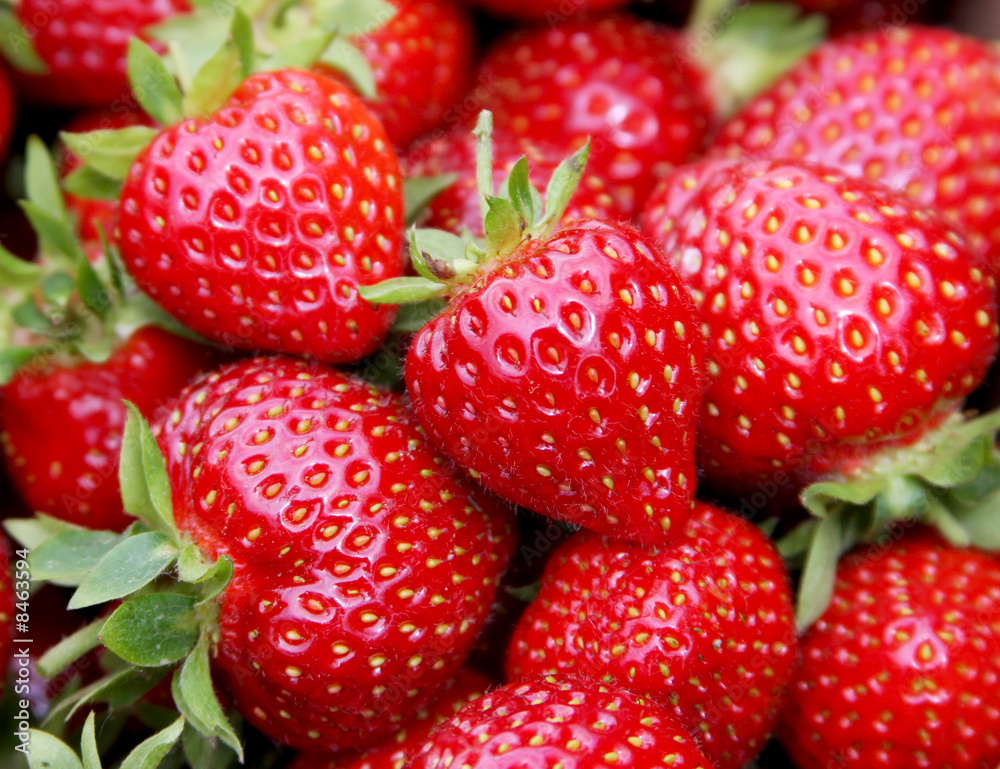Freshly Picked Freshly Picked