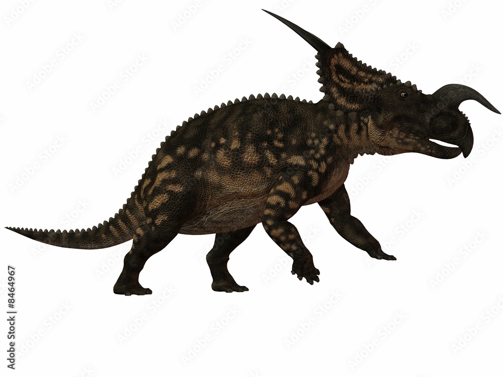 Fototapeta premium Einiosaurus-3D Dinosaurier