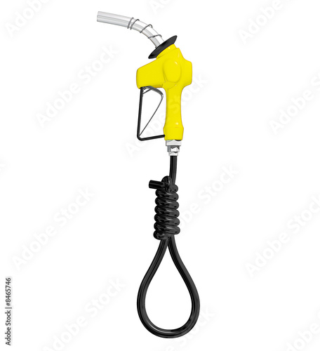 Gas Pump Hose