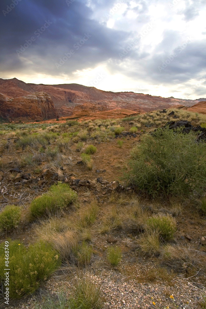 Snow Canyon - Utah