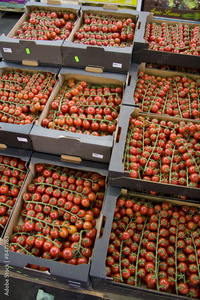 tomates cerises tomates cerises