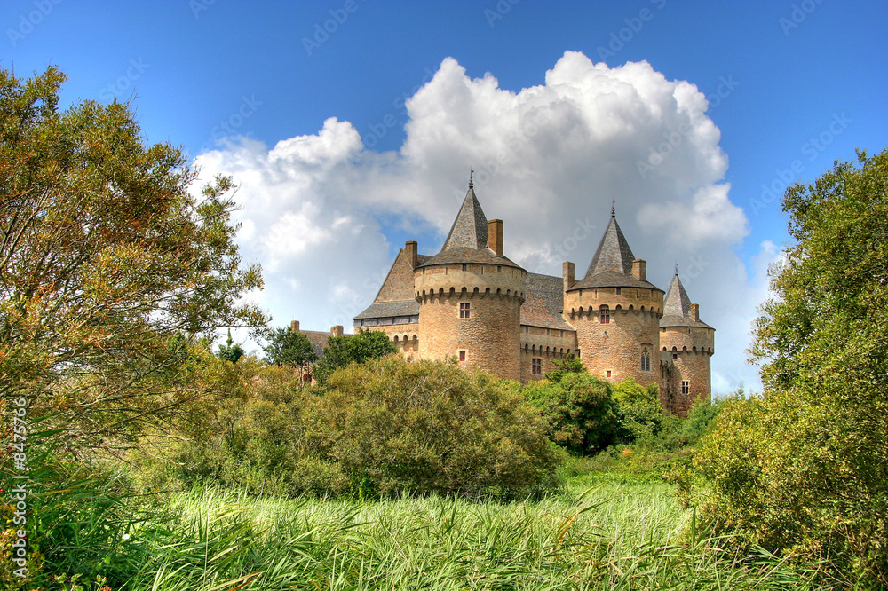 Fototapeta premium Chateau de Suscinio