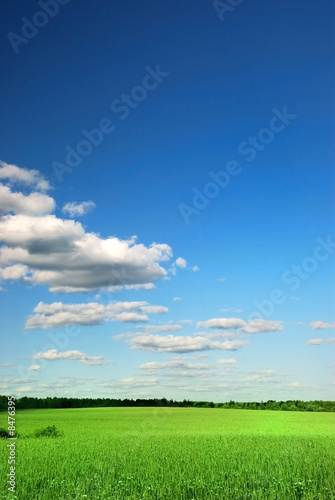Beautiful farmlands with lovely clouds