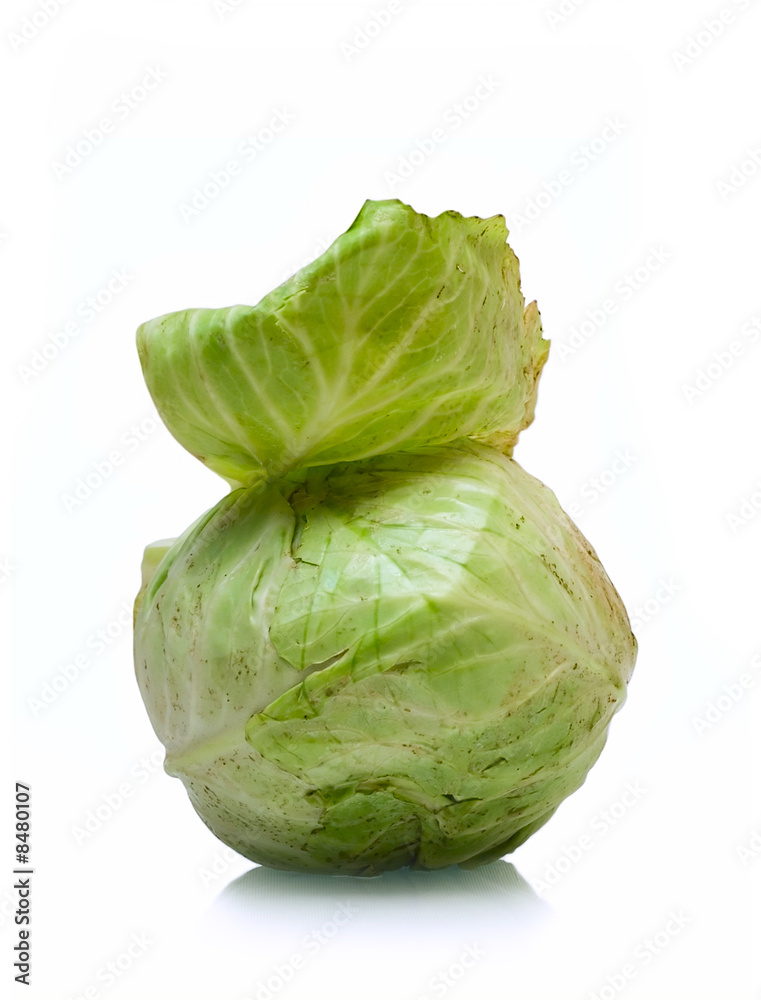 Fototapeta premium Cabbage isolated on white
