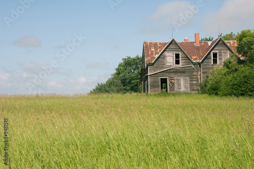 An old abandoned building in a canola field