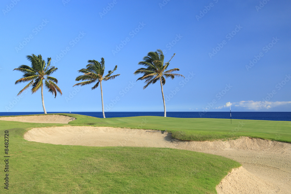 Hawaii Golf Course on Kona Island