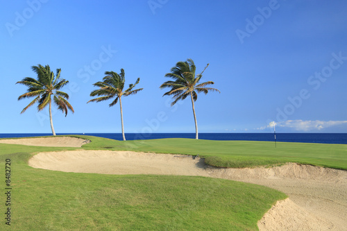 Hawaii Golf Course on Kona Island