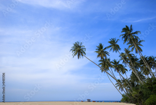 Tropical sunny beach