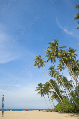 Fototapeta Naklejka Na Ścianę i Meble -  Tropical sunny beach
