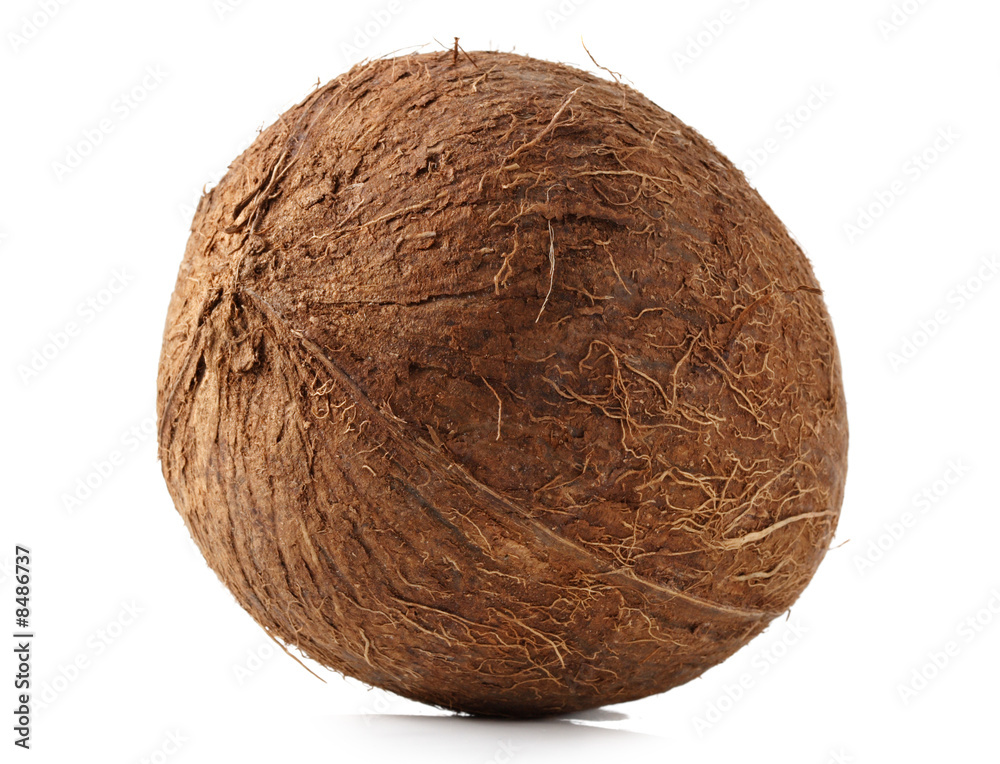 coconut coconut