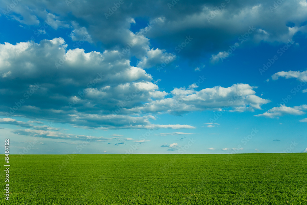 Green grass and blue sky