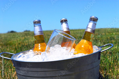 Bucket of beers on ice in a picnic setting