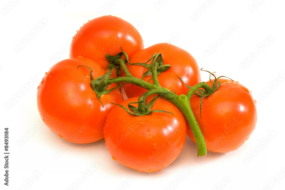 Tomatoes Tomatoes