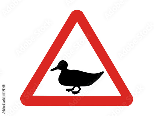 A Roadside Warning Sign for Ducks.