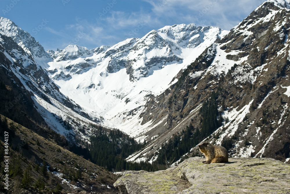 lac du lauvitel - Oisans- Alpes