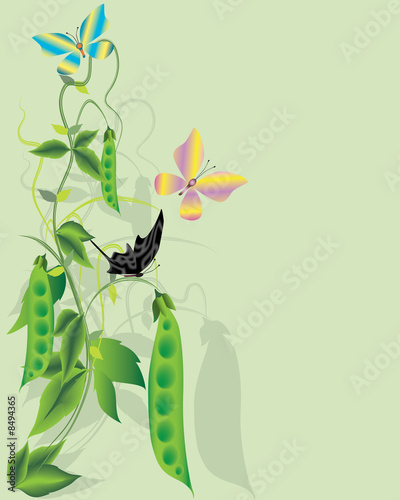 Abstract floral background.