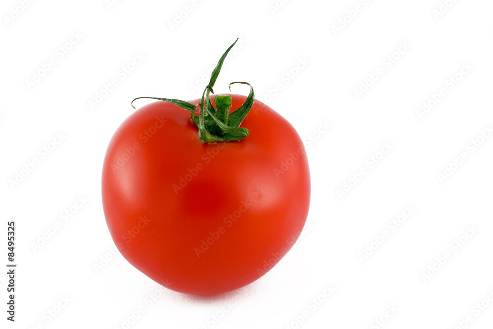 tomato tomato