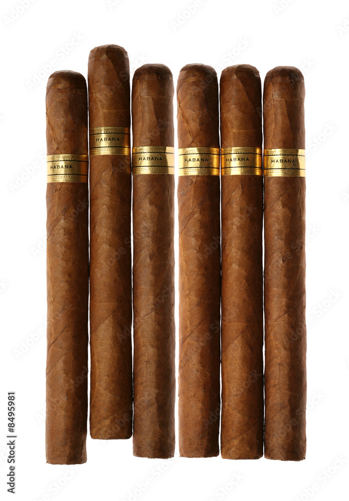 Havana Cigars Set Isolated on White