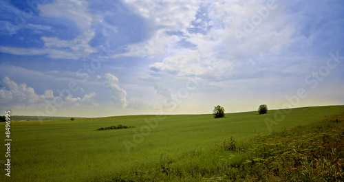 green meadow