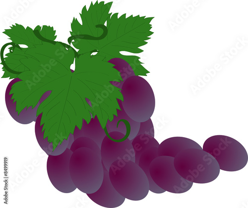 grappolo d'uva