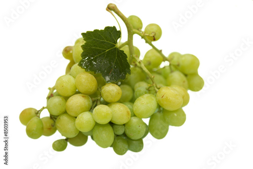 Green grape cluster with leaves
