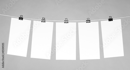 notes on cord