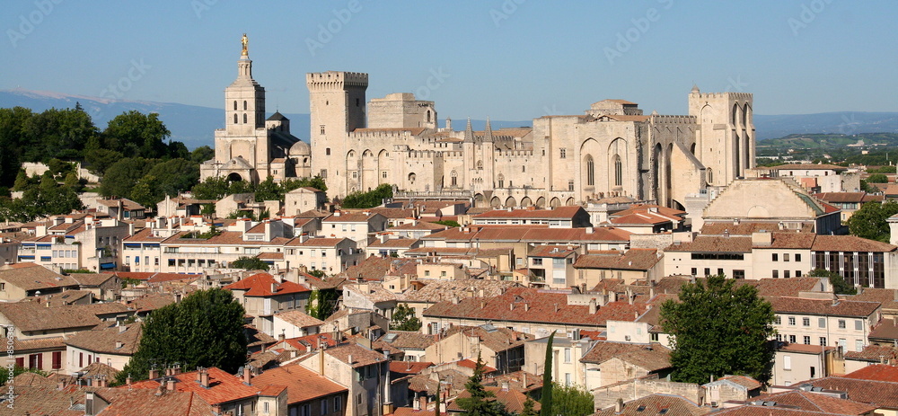 Palais des Papes - Avignon