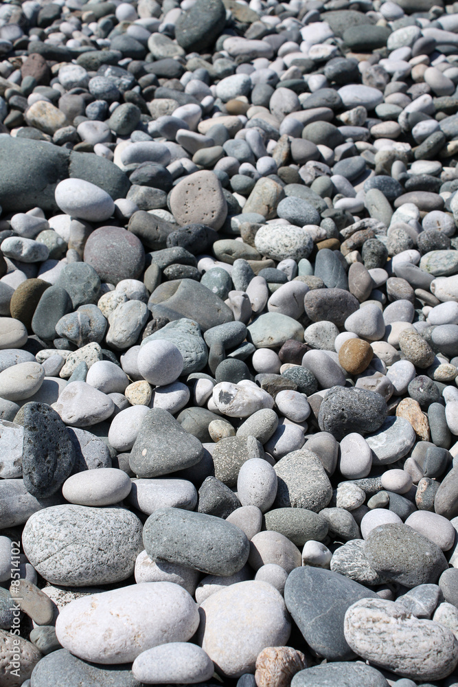 Sand beach texture Sand beach texture