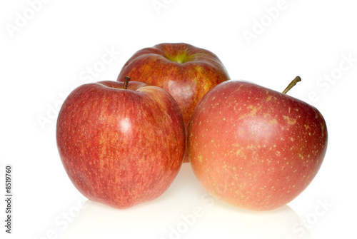 Three red apples of different breeds