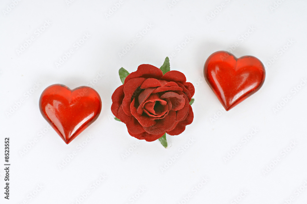 rose und herzen rose und herzen