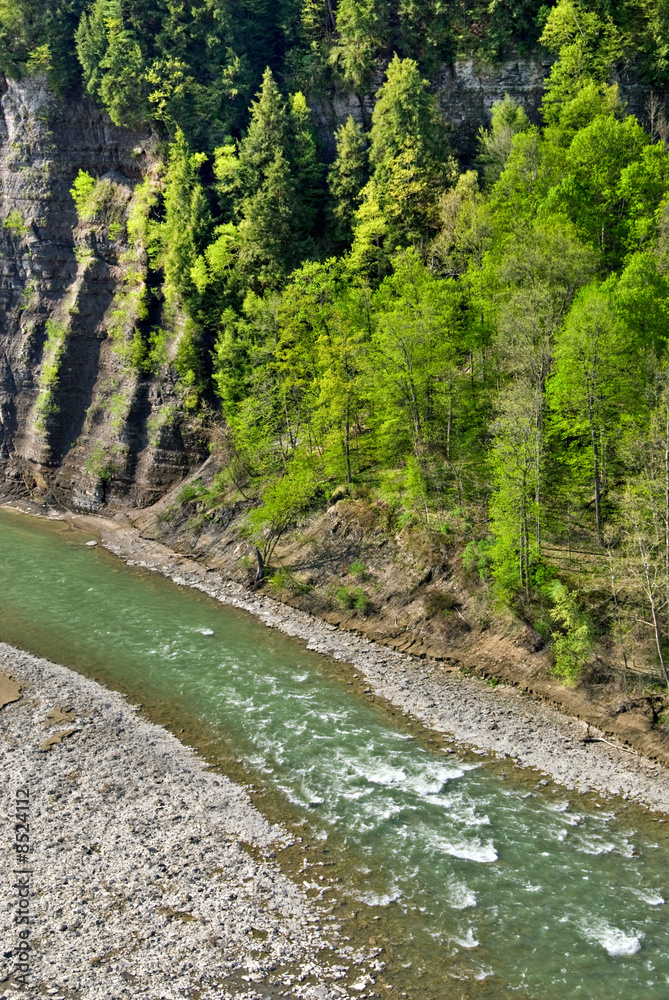 Fototapeta premium River in spring