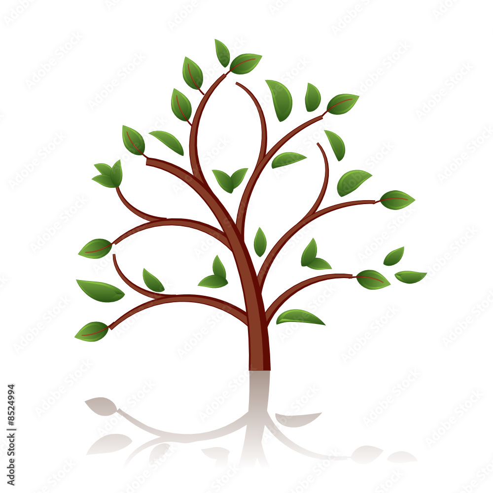 Tree beautiful Tree beautiful