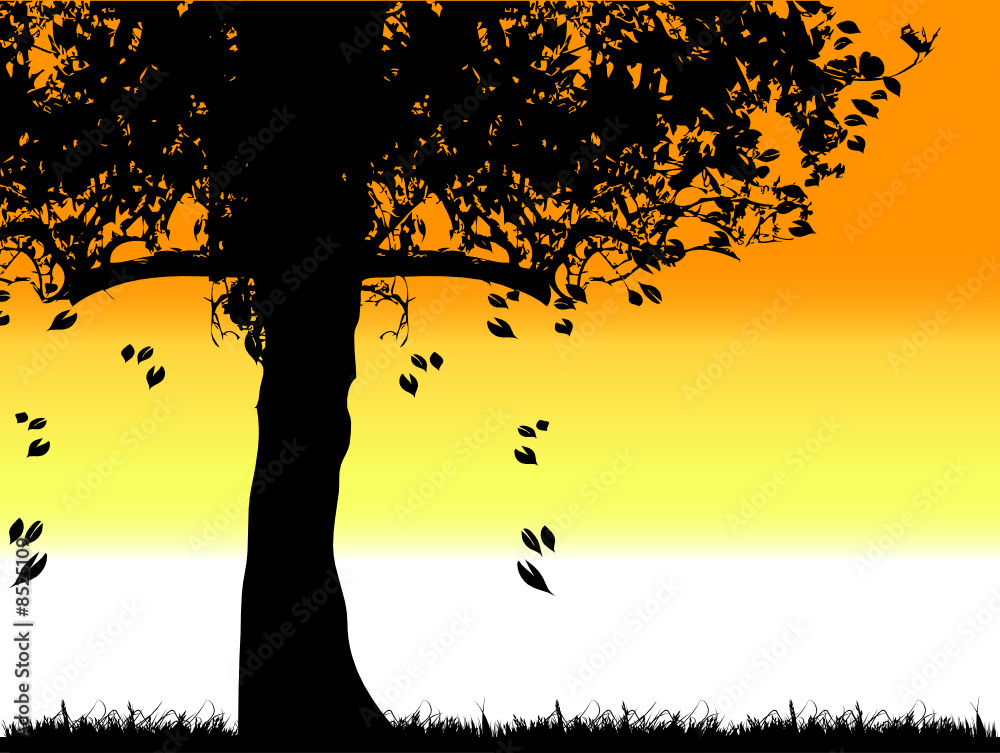 Tree silhouette old, grass, summer Tree silhouette old, grass, summer