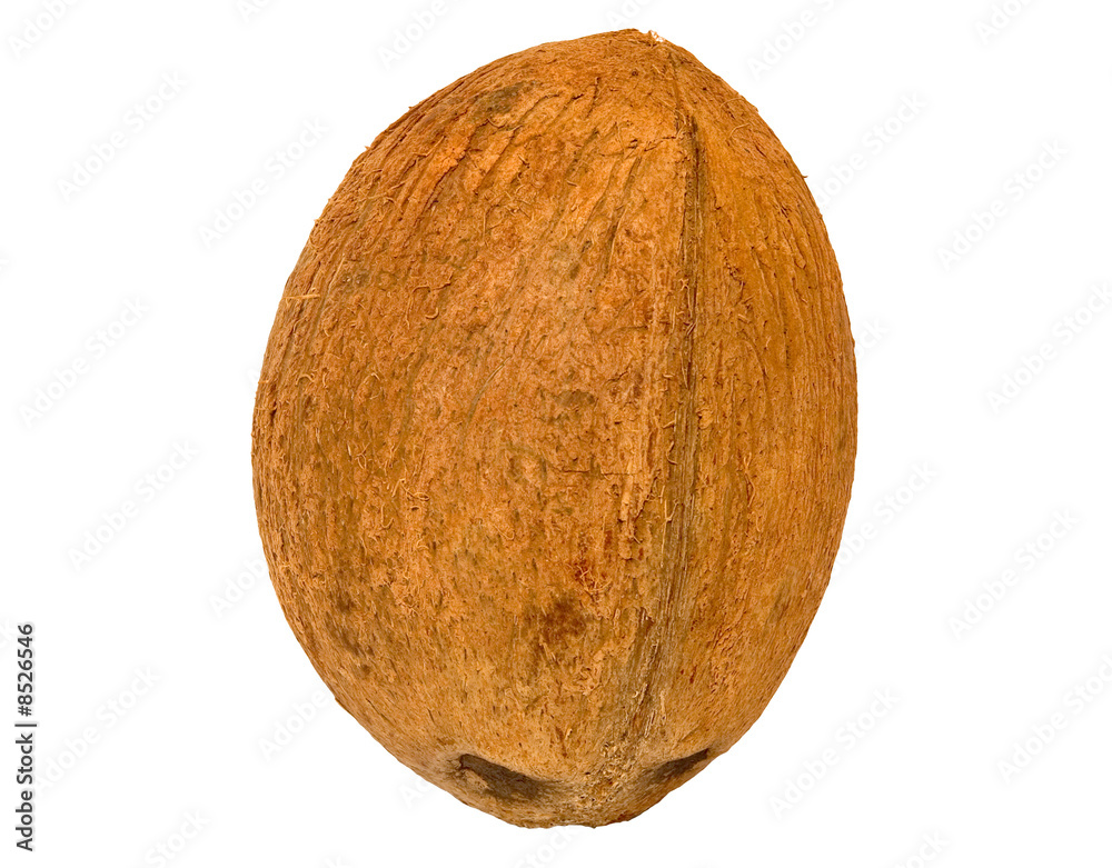 Coconut, isolated